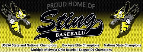 dayton sting baseball|Dayton Sting Black 11U 2021 Team Profile .